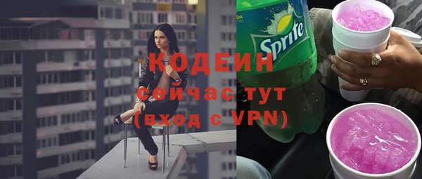 индика Баксан