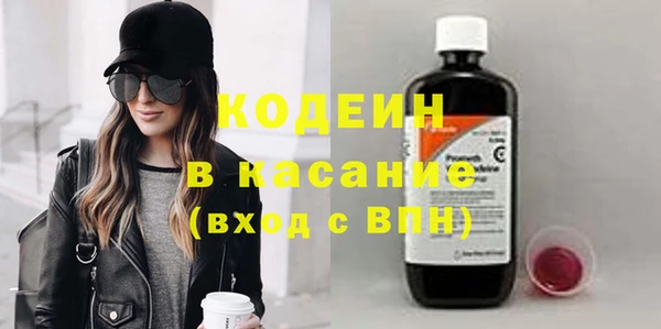 индика Баксан