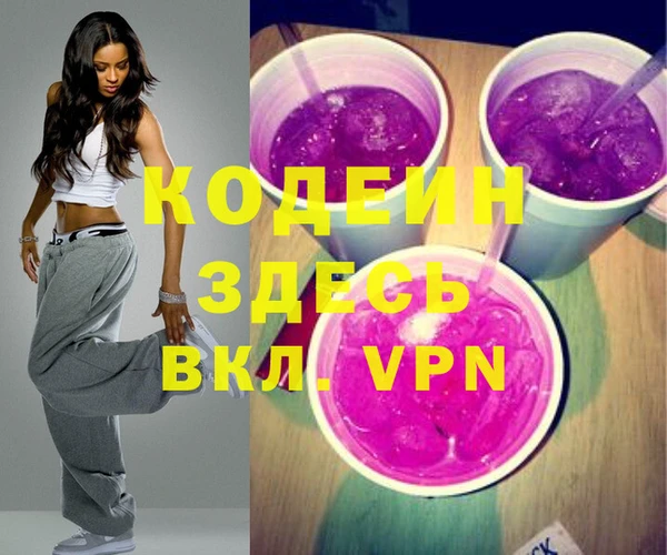 индика Баксан
