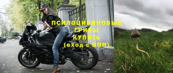 а пвп мука Дубна