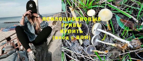 индика Баксан