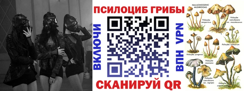 дарк нет состав  Котельниково  Галлюциногенные грибы Cubensis 